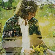 Ryley Walker – Primrose Green Cover