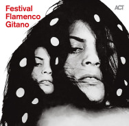 Zum 50. Jahrestag des Festival Flamenco Gitano erscheint eine CD-Box