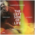 Vladimir Kostadinovic – The Left Side Of Life (Cover)