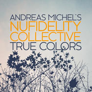 Andreas Michel's Nufidelity Collective – True Colors (Cover)