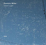 Dominic Miller –   Silent LIght (Cover)