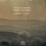 Hans Lüdemann Trio Ivoire – Desert Pulse (Cover)