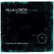 Pau Brasil – Villa-Lobos Superstar (Cover)
