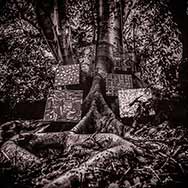 Kamasi Washington 'Harmony Of Difference'