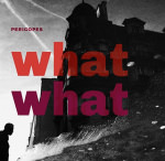 Pericopes – What What