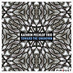 Kathrin Pechlof Trio – Toward The Unknown (Cover)