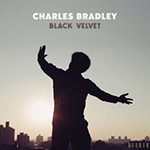 Charles Bradley – Black Velvet (Cover)