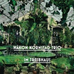 Håkon Kornstad Trio – Im Treibhaus (Cover)