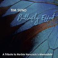 Tim Sund – Butterfly Effect (Cover)