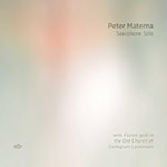 Peter Materna – Saxophone Solo (Cover)