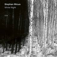 Stephan Micus – White Night (Cover)