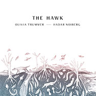 Olivia Trummer & Hadar Noiberg – The Hawk (Cover)