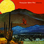 Young Gun Silver Fox – Canyons (Cover)