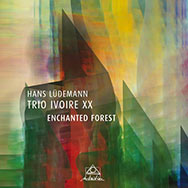 Hans Lüdemann Trio Ivoire XX – Enchanted Forest (Cover)