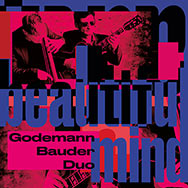 Godemann Bauder Duo – Beautiful Mind (Cover)