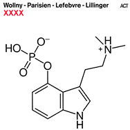 Wollny - Parisien - Lefebvre - Lillinger – XXXX (Cover)