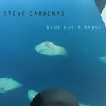 Steve Cardenas – Blue Has A Range (Cover)