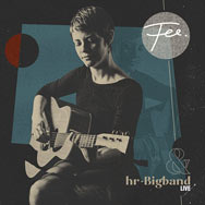 Fee & hr-Bigband – Live (Cover)
