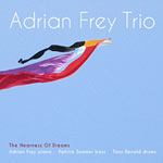 Adrian Frey Trio – The Nearness Of Dreams (Cover)