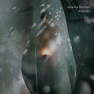 Johanna Borchert „Amniotic“