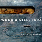 Wood & Steel Trio – Wasp At The Window (Cover)