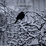 Ketil Bjørnstad – Nightwalker (Cover)