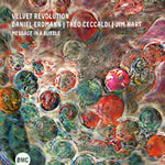 Velvet Revolution – Message In A Bubble (Cover)