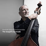 Dominik Schürmann Ensemble – The Seagull's Serenade (Cover)