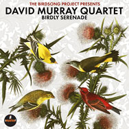 David Murray Quartet – Birdly Serenade (Cover)