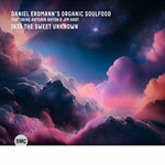 Daniel Erdmann's Organic Soulfood – Into The Sweet Unkown (Cover)
