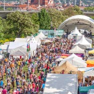 Africa Festival @ Mainwiesen