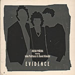 Diego Piñera – Evidence (Cover)