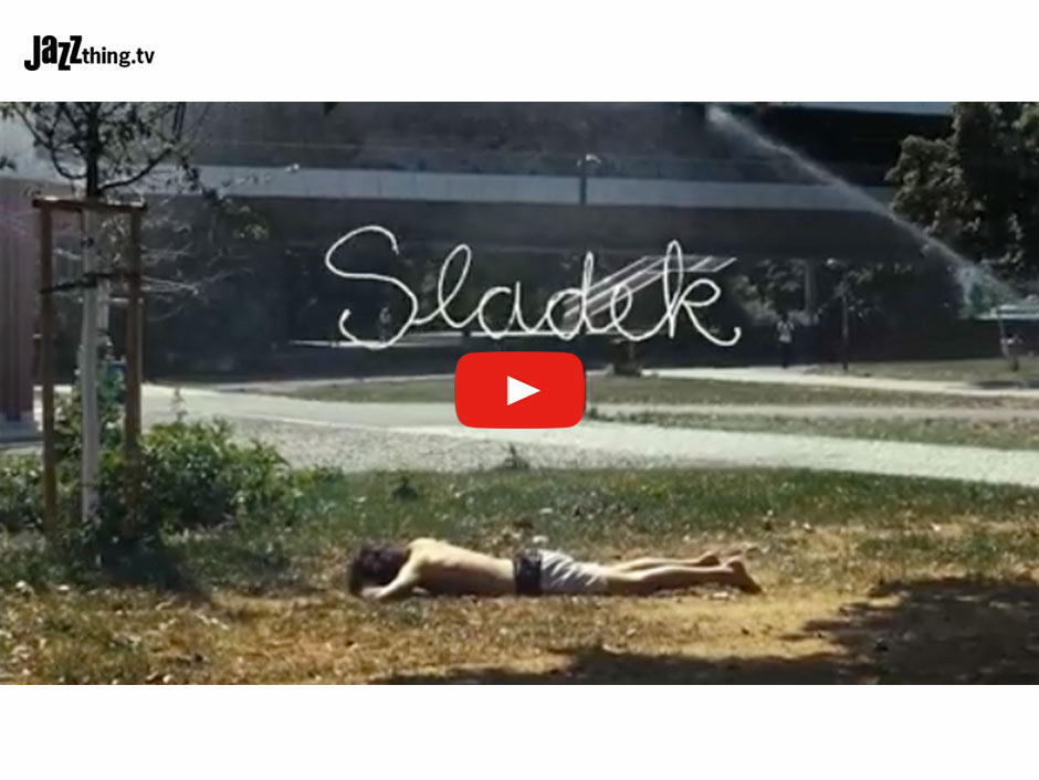 Sladek - What A Little Love Can Do