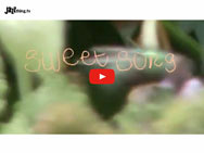 Videopremiere -  Luise Volkmann & Été Large - Sweet Song