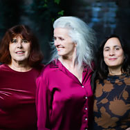 Great Spotted Woodpecker