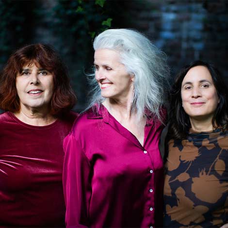 Great Spotted Woodpecker