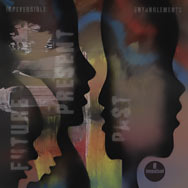 Irreversible Entanglements – Future Present Past (Cover)
