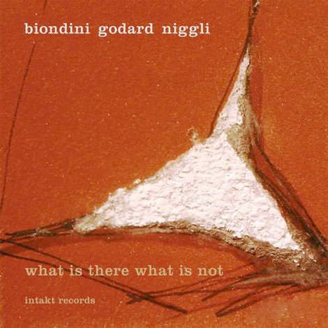 Biondini Godard Niggli - What Is There What Is Not