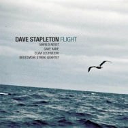 Dave Stapleton - Flight