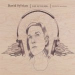 David Sylvian - Died In The Wool