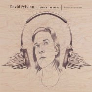 David Sylvian - Died In The Wool