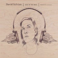 David Sylvian - Died In The Wool
