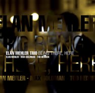 Elan Mehler Trio – Being There, Here (Cover)