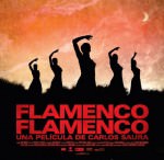 Flamenco, Flamenco