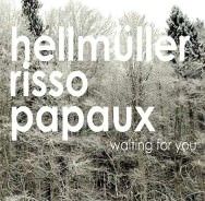 Hellmüller / Risso / Papaux – Waiting For You (Cover)