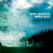 Daniel Herskedal & Marius Neset - Neck Of The Woods (Cover)