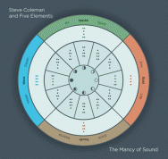 Steve Coleman & Five Elements - The Mancy Of Sound