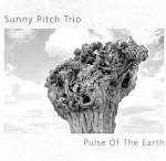 Sunny Pitch Trio - Pulse Of The Earth