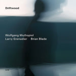Wolfgang Muthspiel – Driftwood (Cover)